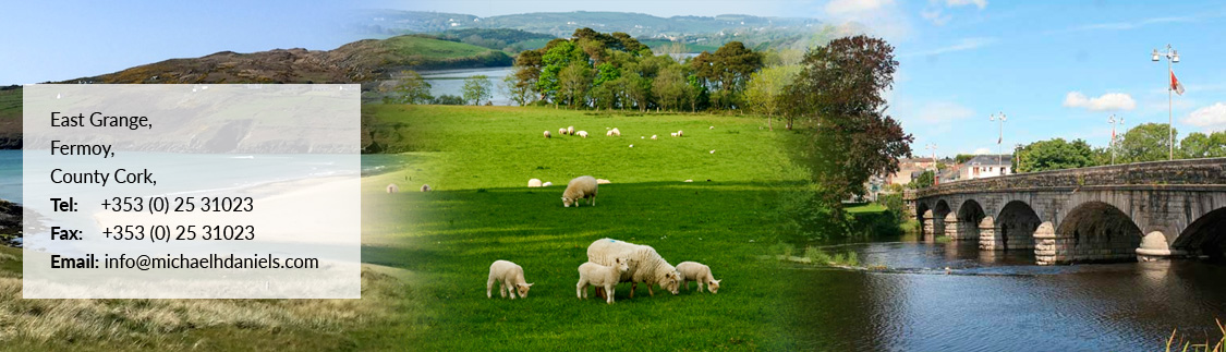 East Grange, Fermoy, County Cork, Ireland. Tel + 353 (0) 25 31023 Fax +353 (0) 25 31023 Email mhdanielsandco@eircom.net